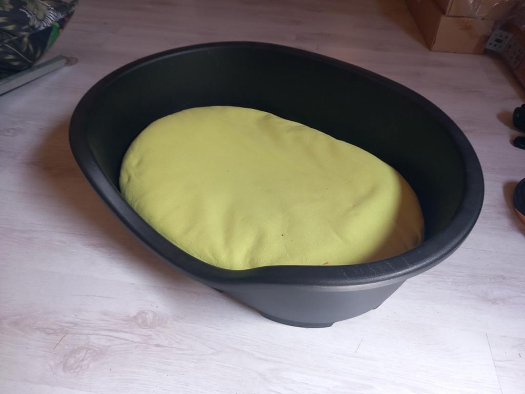 Plastic hondenmand, Dieren en Toebehoren, Hondenmanden, Ophalen, Zo goed als nieuw