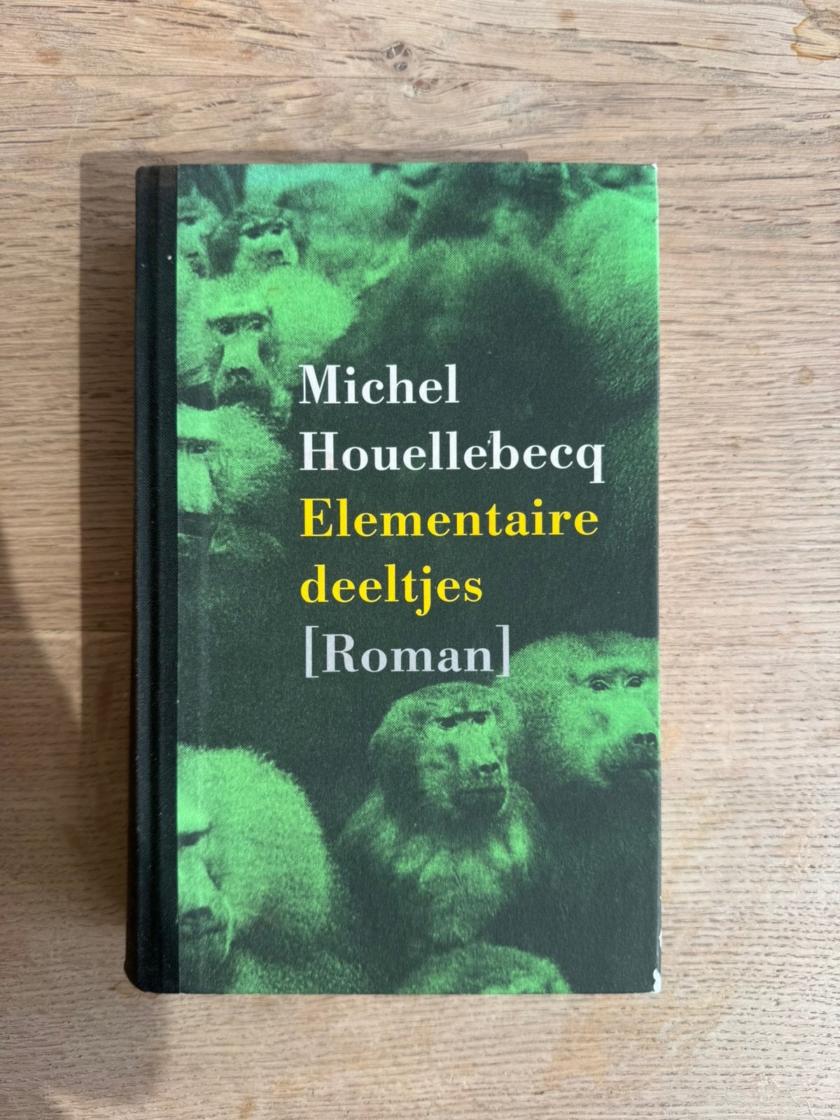 Elementaire deeltjes (Michel Houellebecq), Boeken, Verzenden, Zo goed als nieuw, Persoonlijkheidsleer