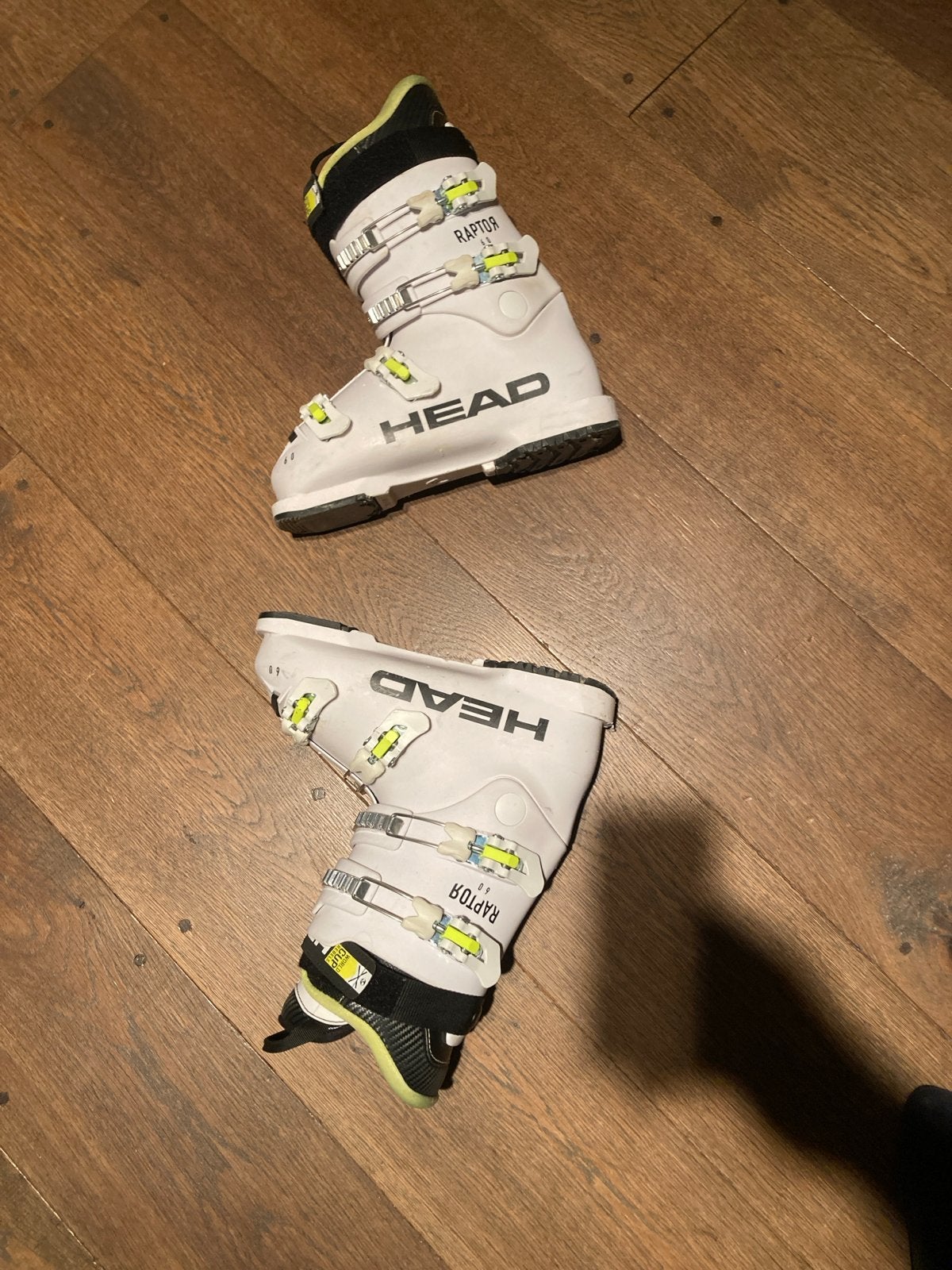 Head Raptor 60 skischoenen maat 26-26,5 (ca. 41-42), Sport en Fitness, Gebruikt, Schoenen, Ophalen of Verzenden, Skiën