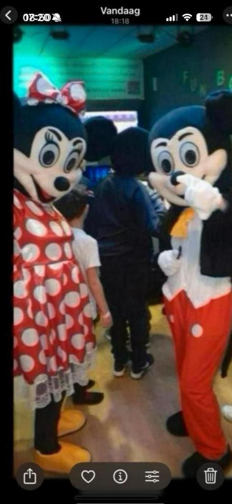 Mascotte Mickey&Minnie te huur inclusief acteur, Ophalen of Verzenden, Zo goed als nieuw, Overige