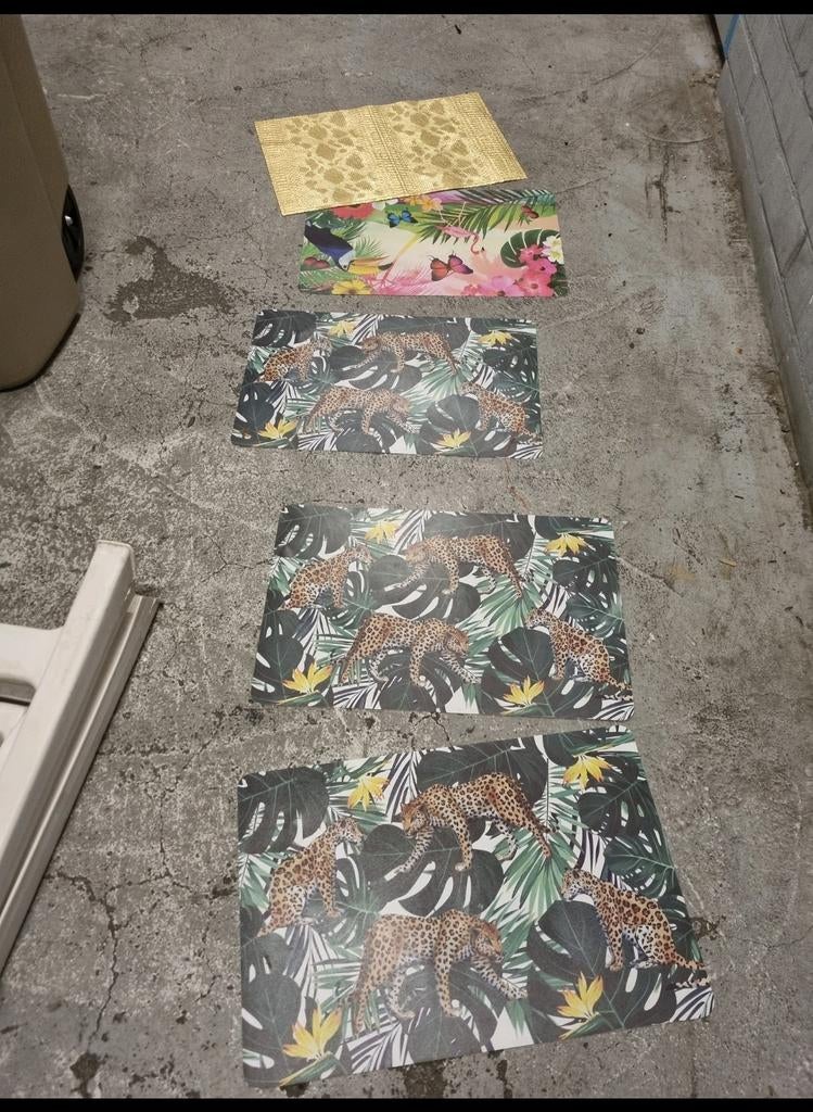 3x Placemat Dieren KAYDEN en meer, Ophalen of Verzenden, Nieuw, Glas of Kopje