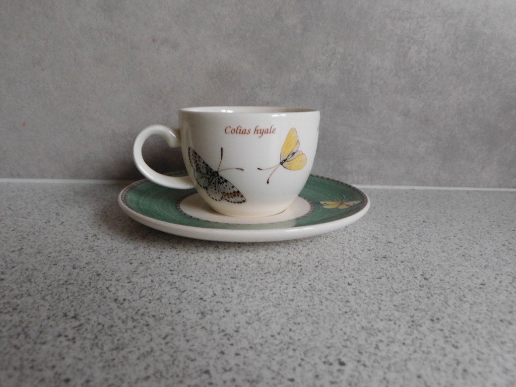 Kop en schotel Espresso Sarah's Garden Wedgwood, Huis en Inrichting, Ophalen, Zo goed als nieuw, Overige stijlen, Kop(pen) en/of Schotel(s)