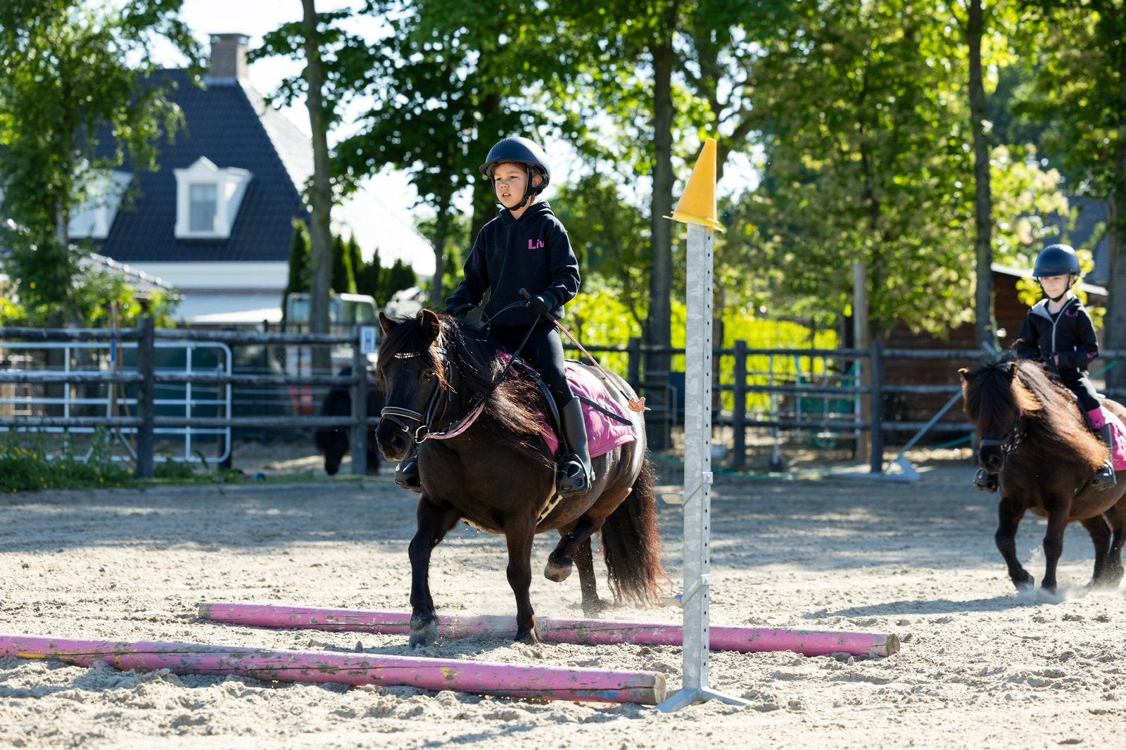 Paardrijlessen in Oudenbosch, Paardrijles of Ponykampen