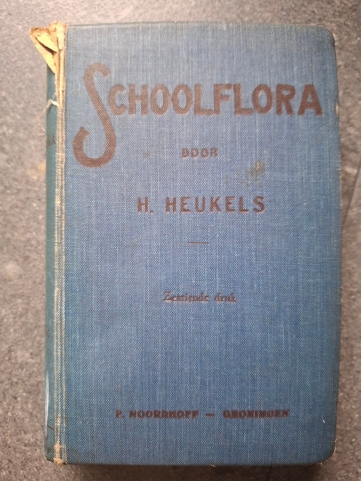 Schoolflora voor Nederland - H. Heukels (1923), Gelezen, Ophalen of Verzenden, H. Heukels, Beta