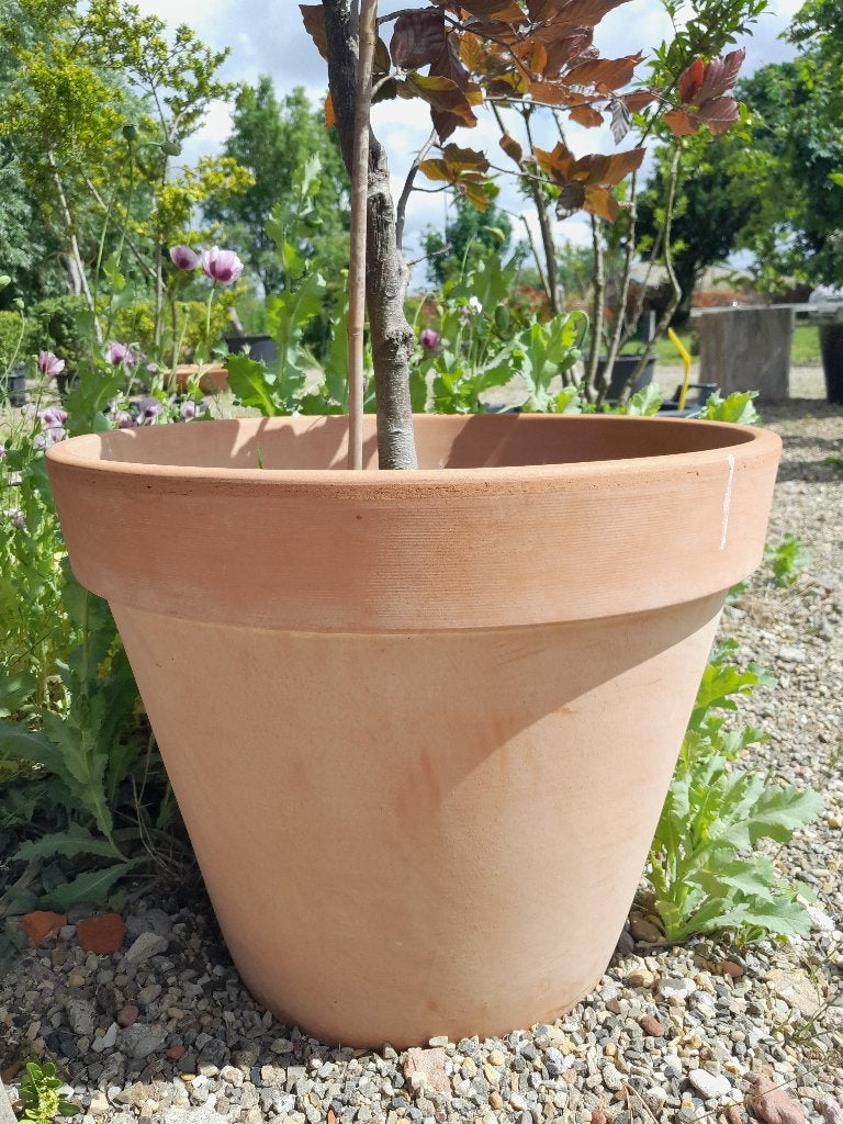 plantenpot terracotta, Tuin en Terras, Bloempotten, Ophalen, 40 cm of meer, Rond, Nieuw