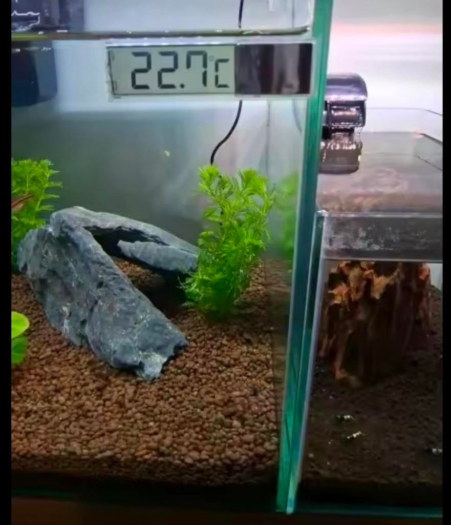 Temperatuur meter aquarium, decoratie te koop, inrichting, Dieren en Toebehoren, Vissen | Aquaria en Toebehoren, Ophalen of Verzenden