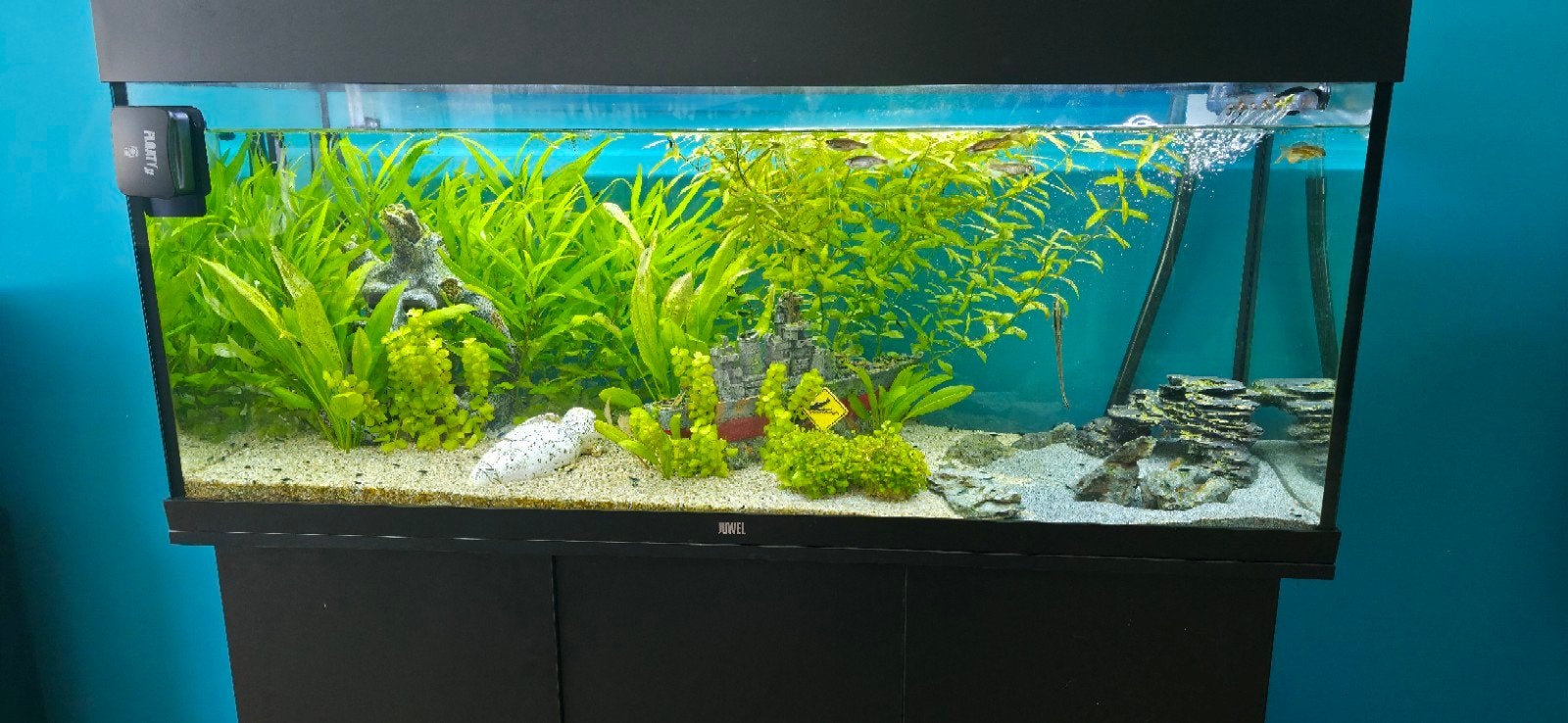 Aquarium Juwel 240 liter, Dieren en Toebehoren, Vissen | Aquaria en Toebehoren, Ophalen, Overige typen, Nieuw, Juwel
