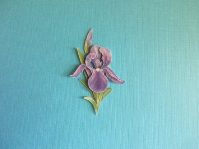 j43 Jeanine / bloemen, Verzenden, Nieuw, Natuur, Overige typen