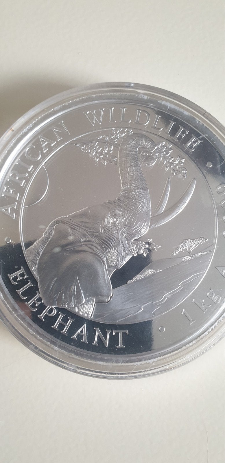 Somalië Olifant 1 kg Zilveren Munt 2023, Ophalen, Zilver