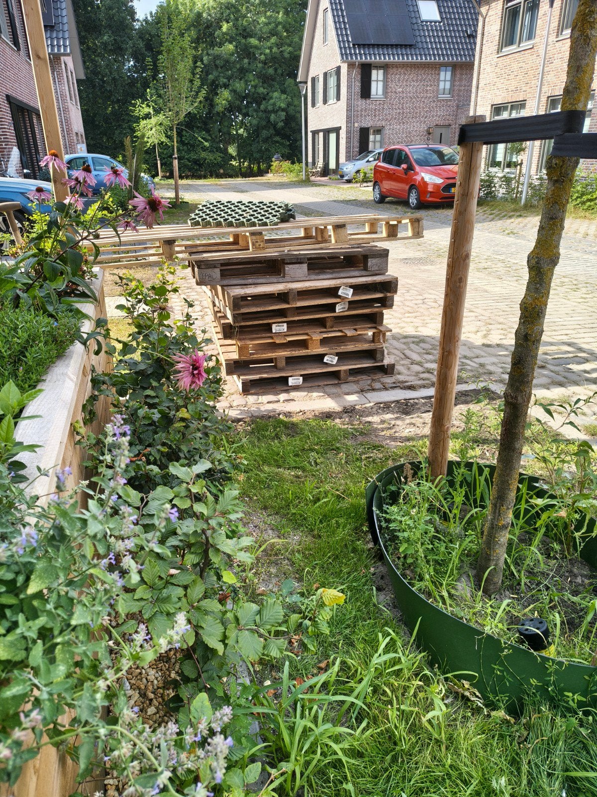 7 pallets. Gratis af te halen, Ophalen, Overige houtsoorten, Minder dan 200 cm, Pallet