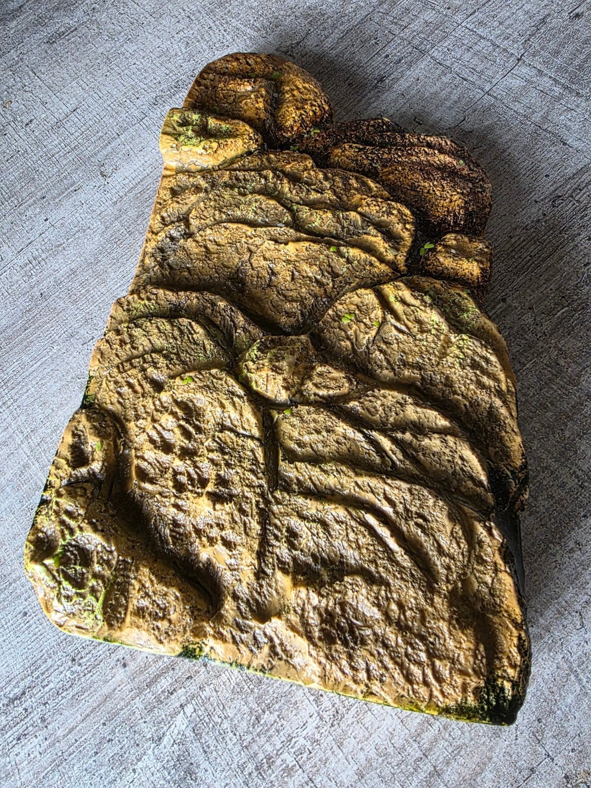 schildpadden eiland, turtle bank met magneten., Ophalen