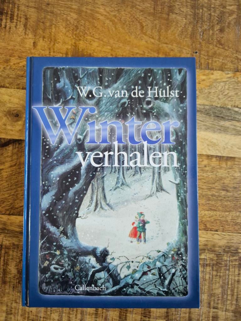 W.G. van de Hulst - Winterverhalen als nieuw, Ophalen of Verzenden, Gelezen, W.G. van de Hulst, Nederland
