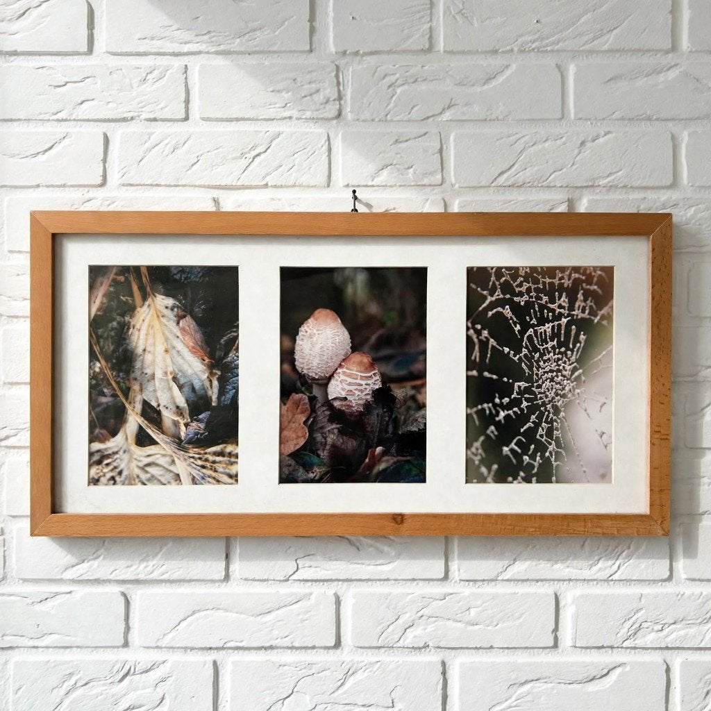 Vintage Drieluik Natuurfotografie in Houten Lijst -52,5 cm, 50 – 75, Gebruikt, Oorspronkelijke maker, Ophalen of Verzenden