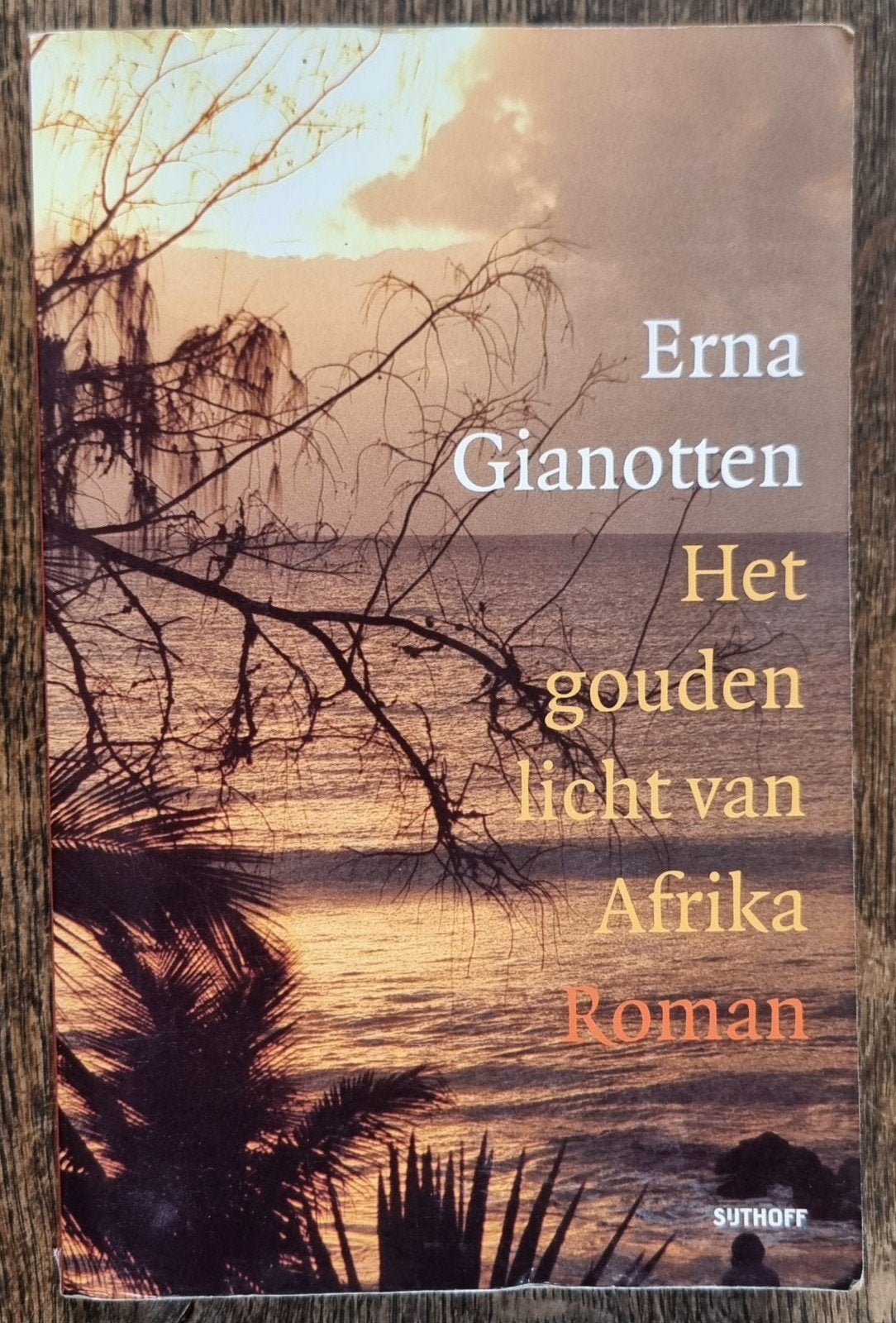 Het gouden licht van Afrika - Erna Gianotten - Tanzania IGST, Boeken, Ophalen of Verzenden, Erna Gianotten, Afrika
