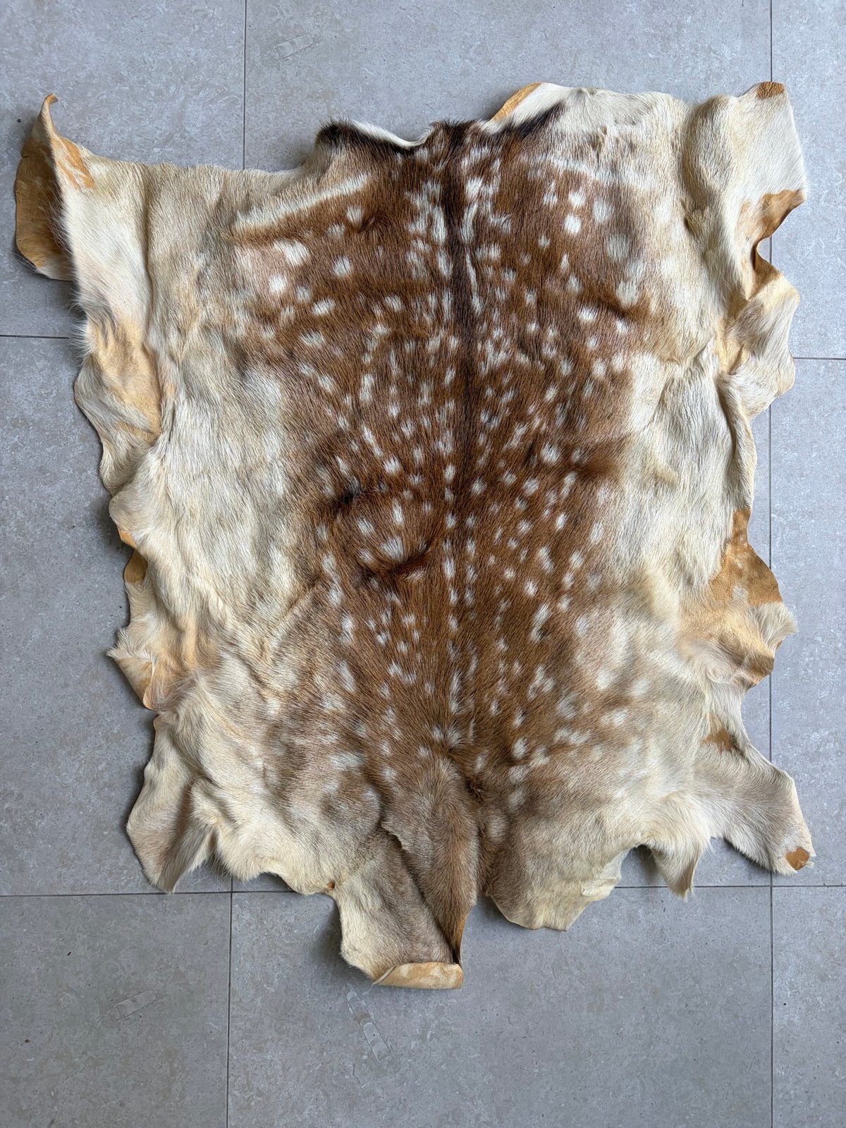 Prachtige Hertenhuid - Decoratief en Uniek, Ophalen, Bruin, 50 tot 100 cm, Zo goed als nieuw