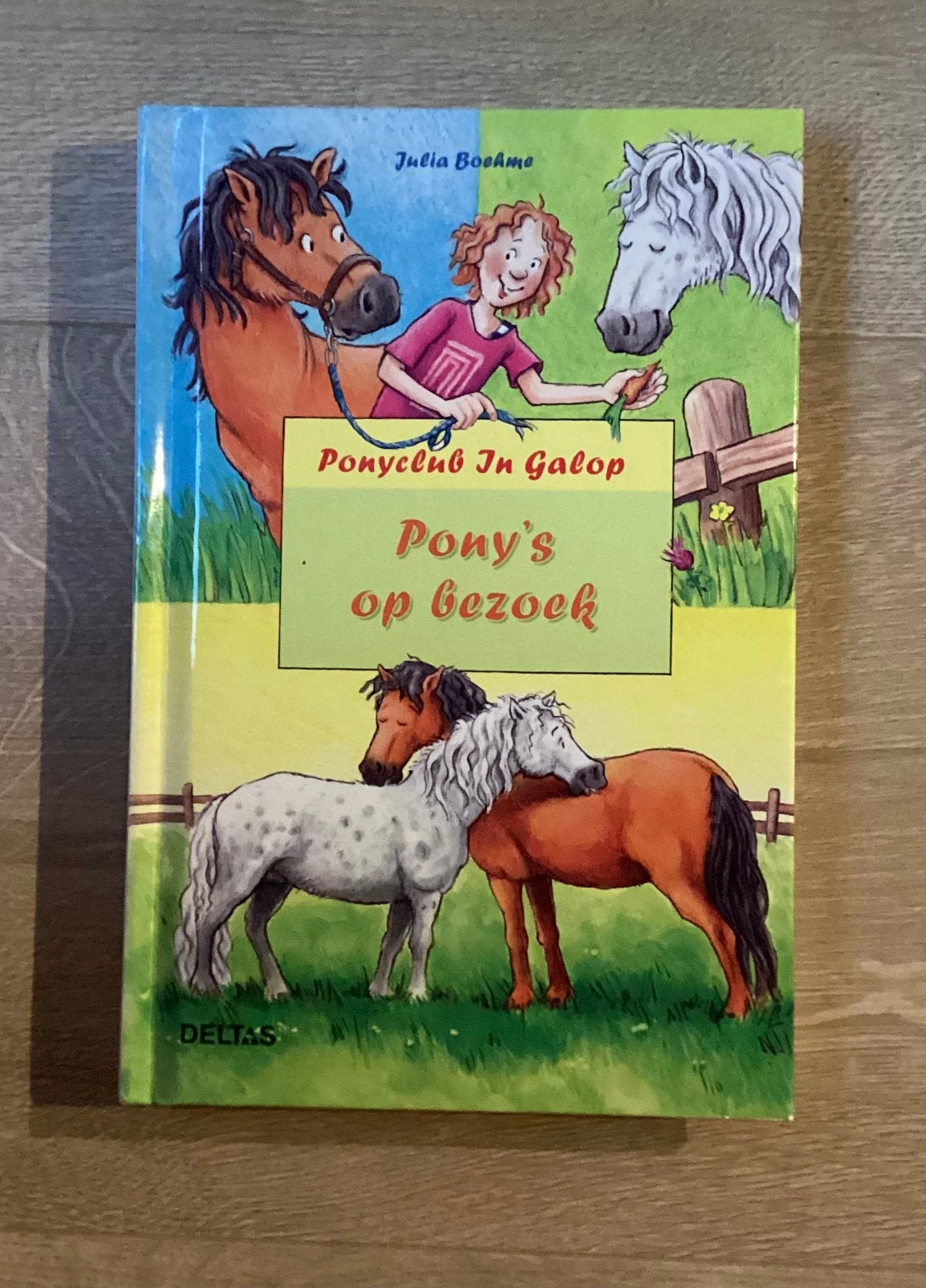 Ponyclub In Galop Pony’s op bezoek, Ophalen of Verzenden, Zo goed als nieuw