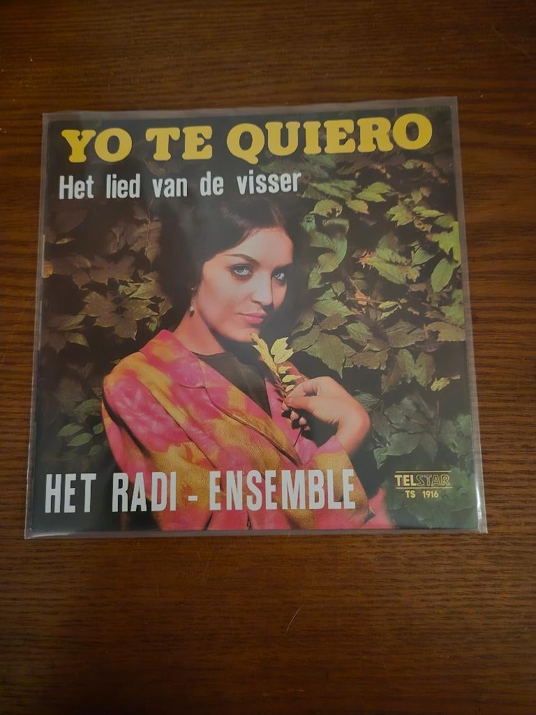 Het Radi- Ensemble, Cd's en Dvd's, Ophalen of Verzenden, Zo goed als nieuw, 7 inch, Levenslied of Smartlap