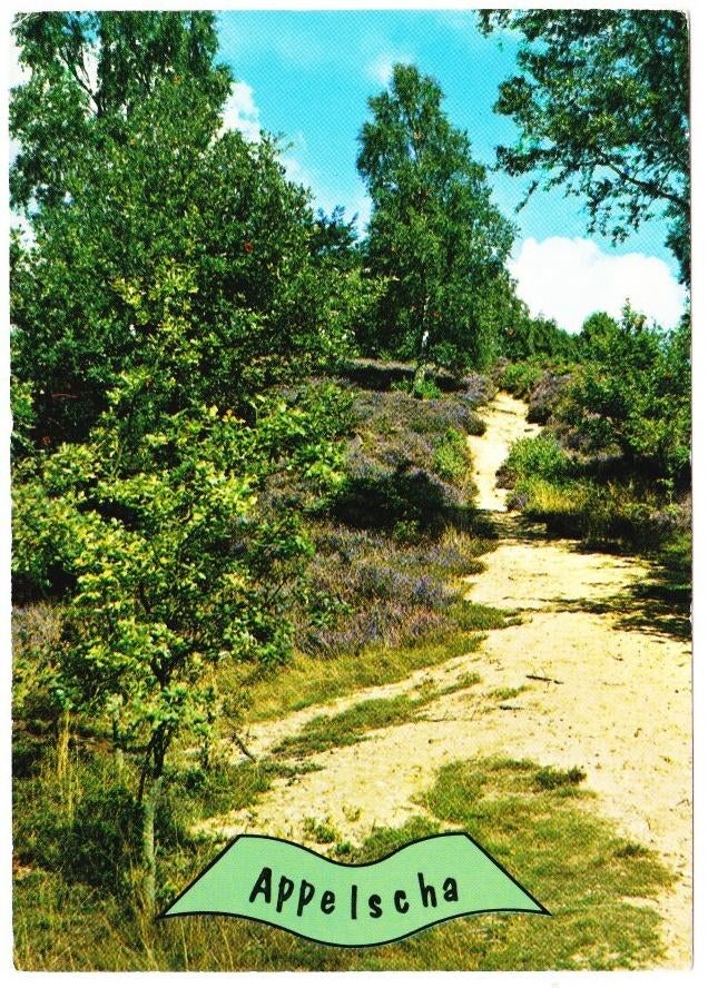 Appelscha gelopen Ansichtkaart ( B2727, Ophalen of Verzenden, 1980 tot heden, Gelopen