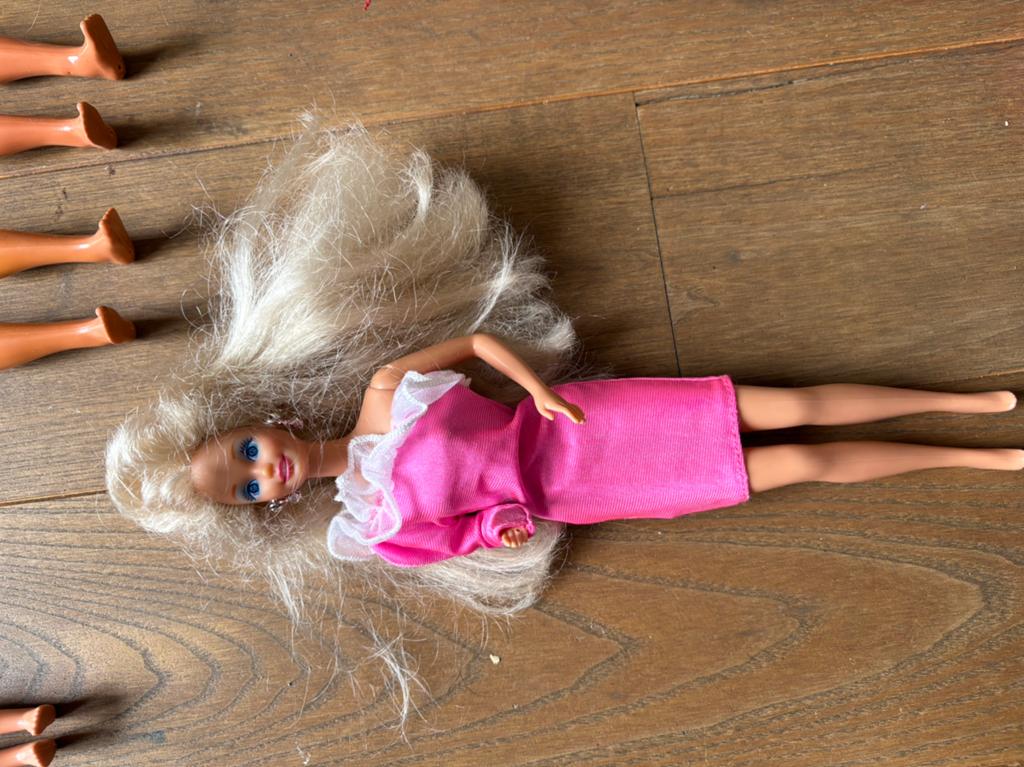 Partij barbies en kleding / accessoires, Ophalen, Gebruikt, Barbie