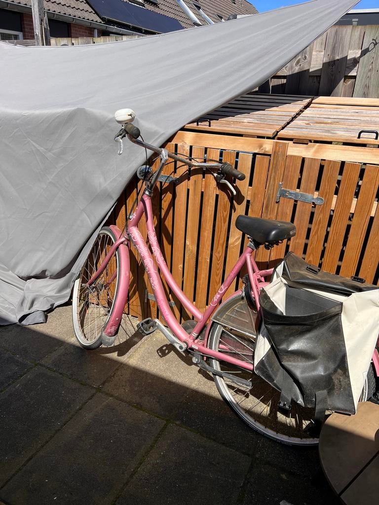 Sparta Granny Damesfiets met Fietstassen - Roze, Ophalen, Sparta, Velgrem, 53 tot 56 cm