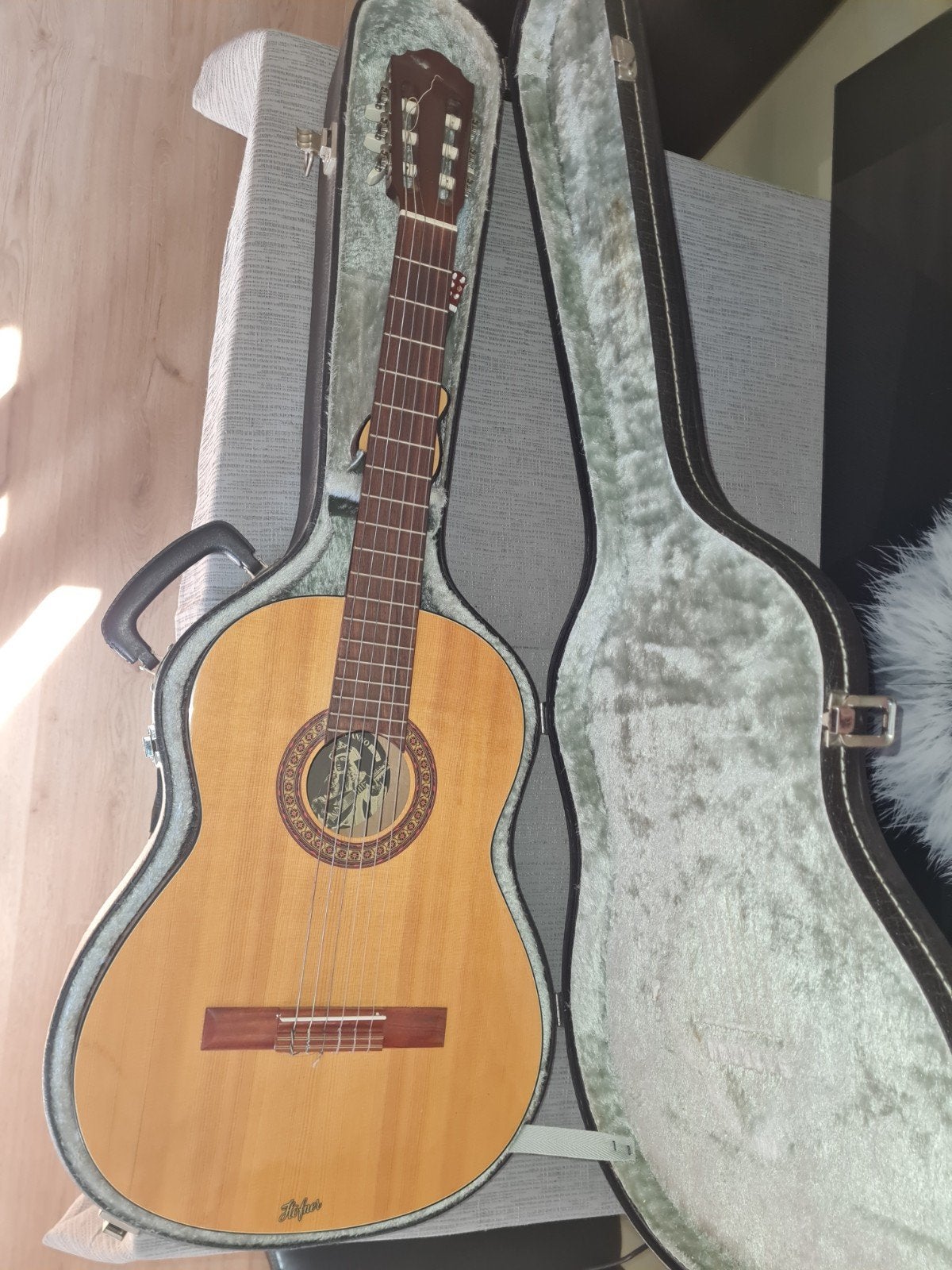 akoestische gitaar hofner h s 37, Ophalen of Verzenden, Met koffer