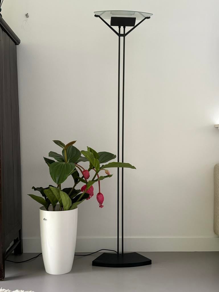 Academisch Terra vloerlamp van Lucitalia - Design, Ophalen, Zo goed als nieuw, Metaal, 150 tot 200 cm
