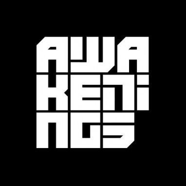 2 x vip ticket awakenings zaterdag, Tickets en Kaartjes, Concerten | Dance, Eén persoon