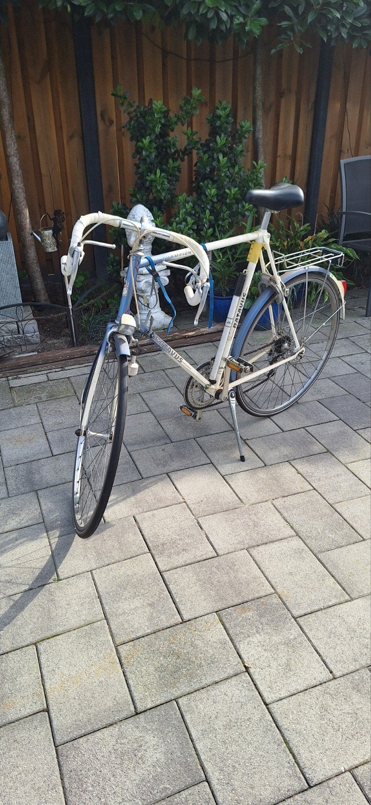 Vintage Gazelle Champion Mondial racefiets