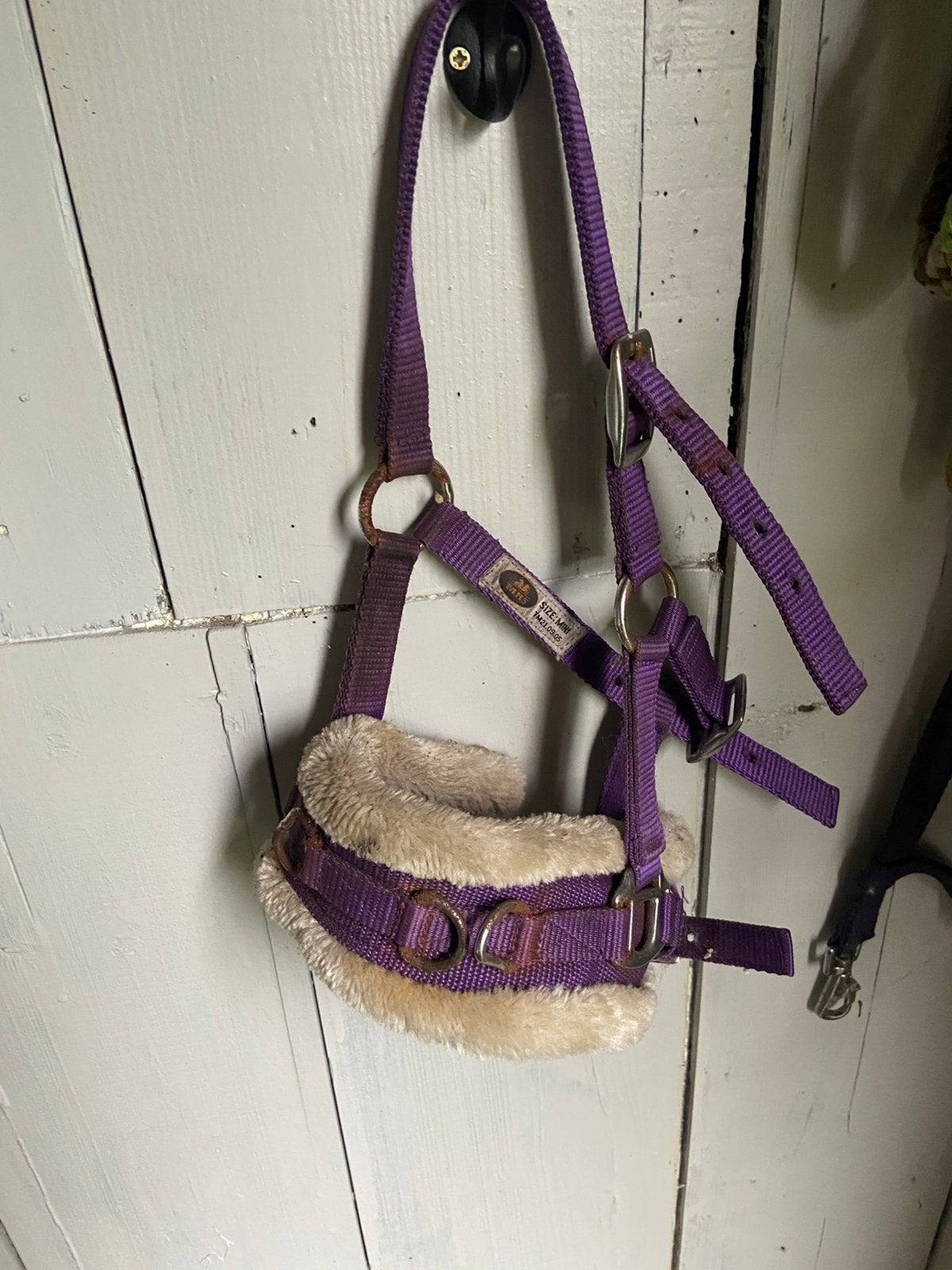 Kaptoom met bont mini shet, Dieren en Toebehoren, Ophalen, Paars, Mini, Kaptoom