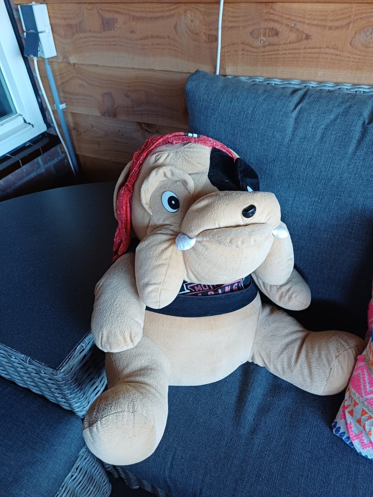 2 leuke knuffels, Ophalen, Zo goed als nieuw, Overige typen