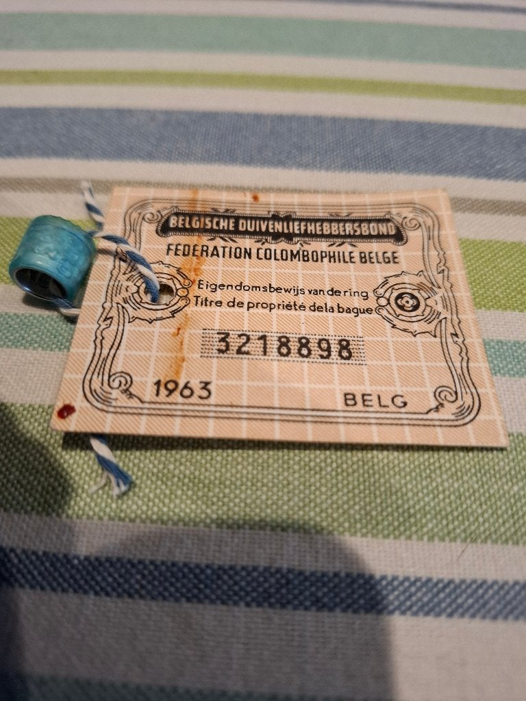 Ring 1963 belg, Mannelijk