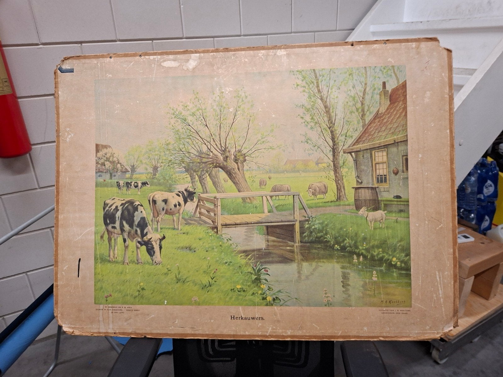 Vintage Schoolplaten: Dieren, Koeien, Ezel & Bok, Kleimolen, Ophalen, Natuur en Biologie