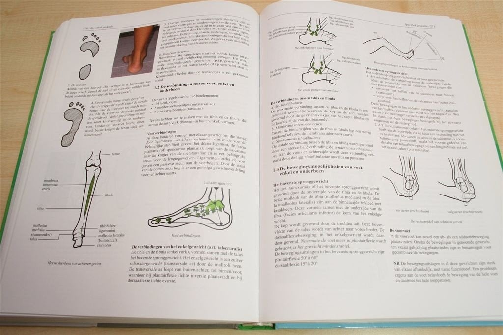 Hét Studieboek voor Sportmassage — Theorie & Praktijk, Boeken, Ophalen of Verzenden, Gelezen, Watersport en Hengelsport