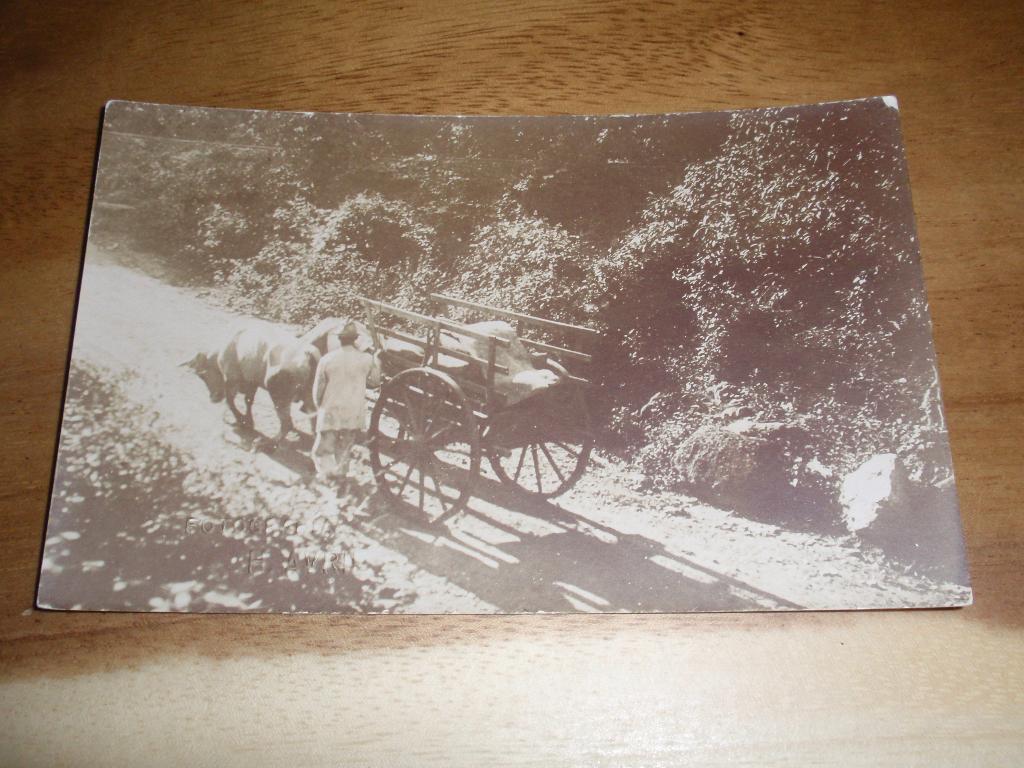 Fotokaart Ossenkar ( linkerhoek Foto Avril  ), Verzenden, 1920 tot 1940, Ongelopen, Voertuig