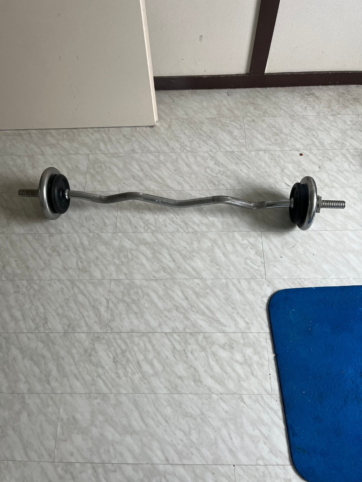 EZ barbell stang, Sport en Fitness, Ophalen, Halterstangen