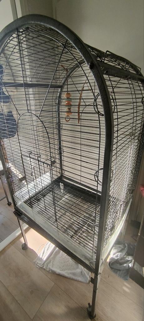 Grote vogelkooi, Dieren en Toebehoren, Ophalen, Zo goed als nieuw, Metaal, Vogelkooi