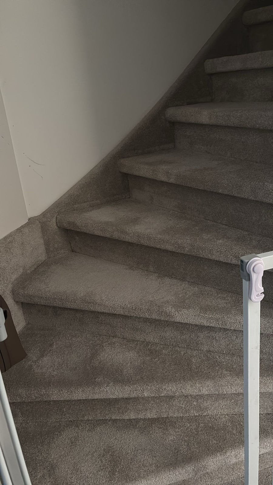 trap bekleden incl tapijt ,399 euro