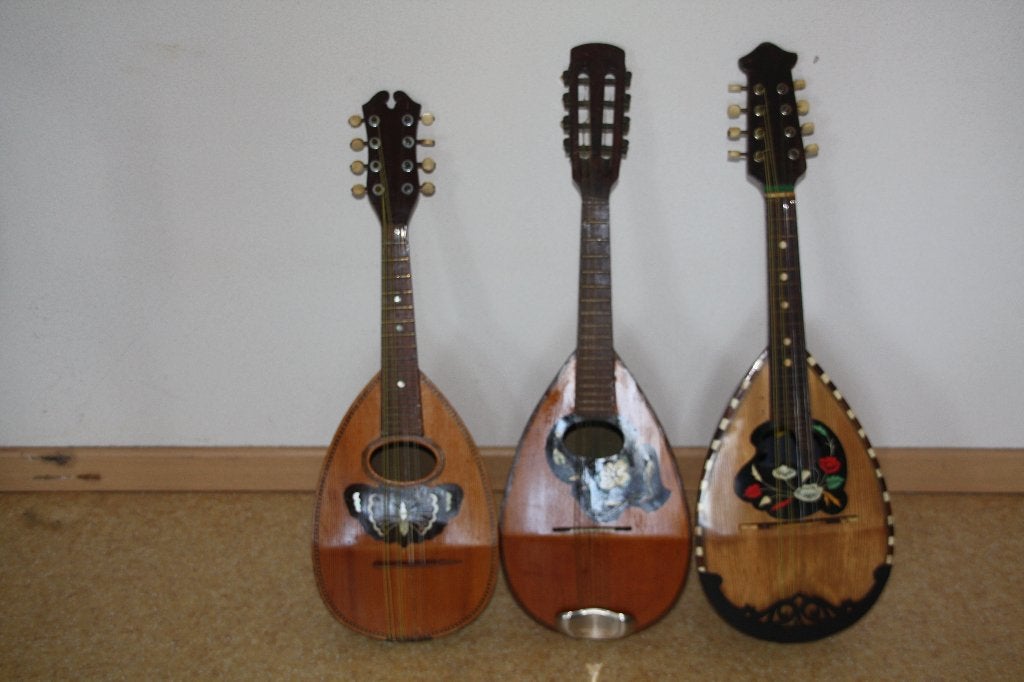 mandoline, Muziek en Instrumenten, Ophalen of Verzenden, Gebruikt