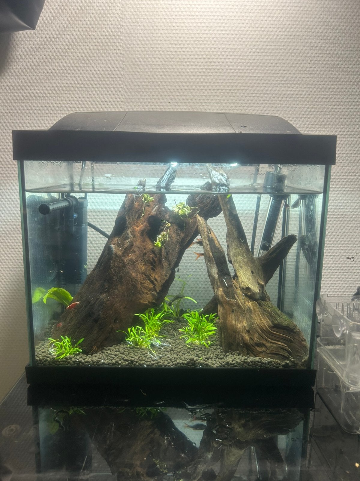 Nano aquarium 16 liter compleet, Ophalen, Zo goed als nieuw, Gevuld zoetwateraquarium