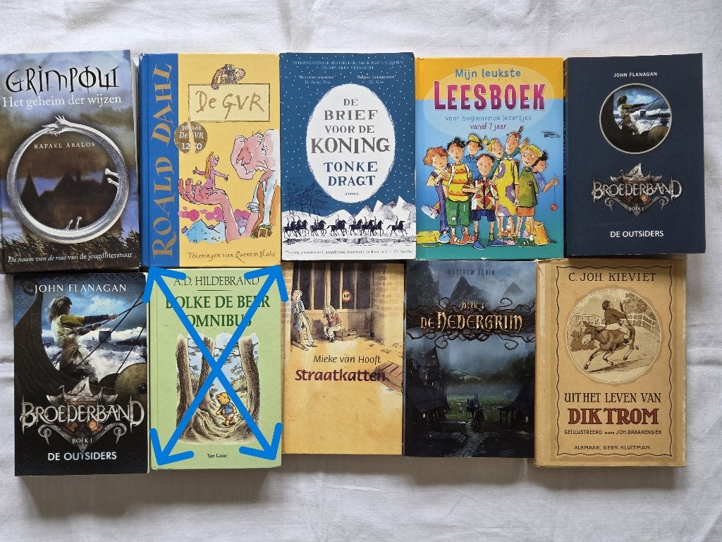 Kinderboek Dahl Tonke Dragt Flanagan Laan Rood  Sand Terlouw, Boeken, Ophalen of Verzenden, Gelezen, Fictie