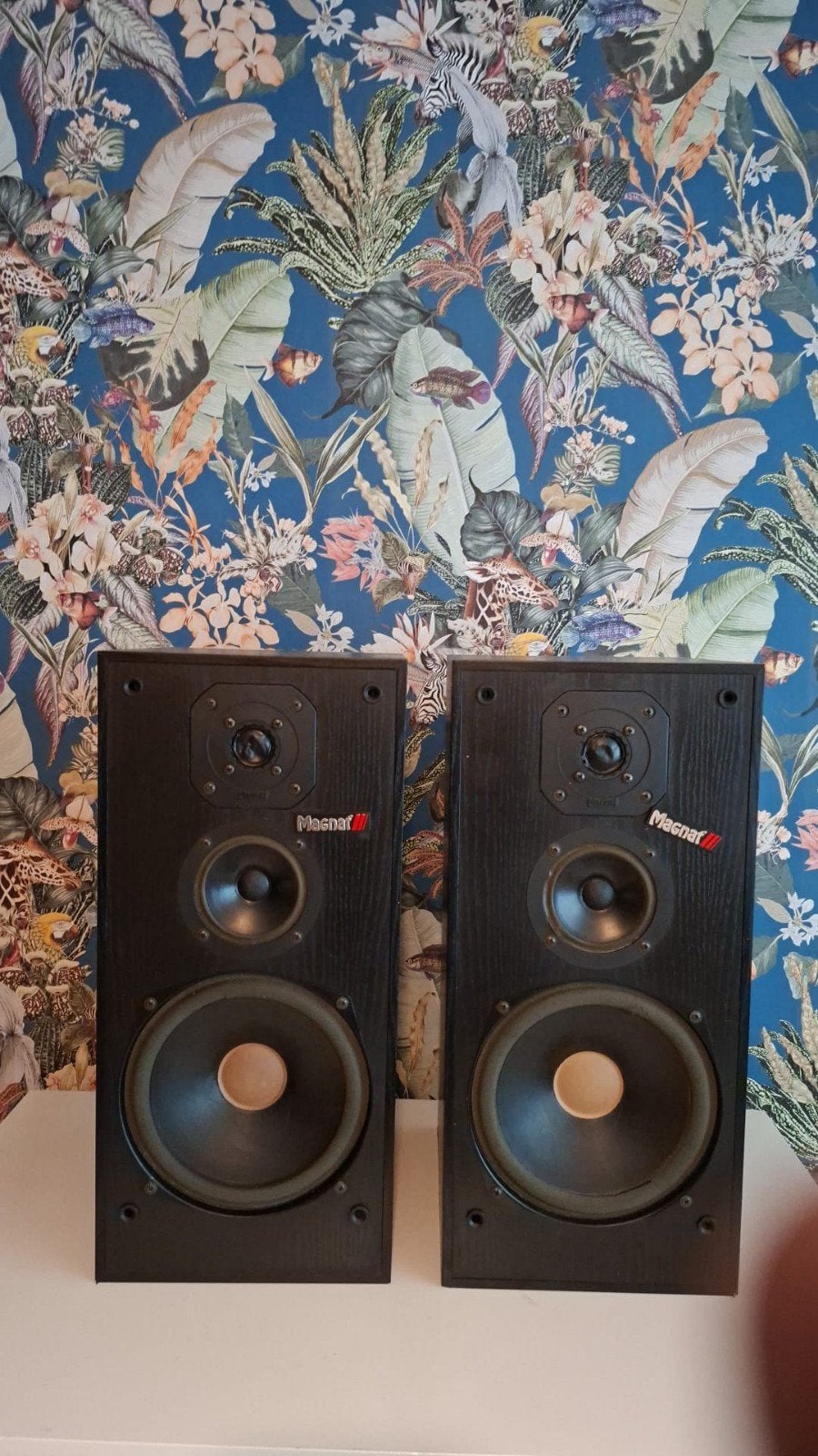 Speakerboxen Magnat, Ophalen of Verzenden, Magnat