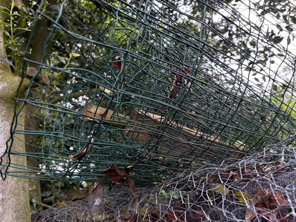 Groen gaashek voor in de tuin,, Ophalen of Verzenden, Minder dan 10 meter