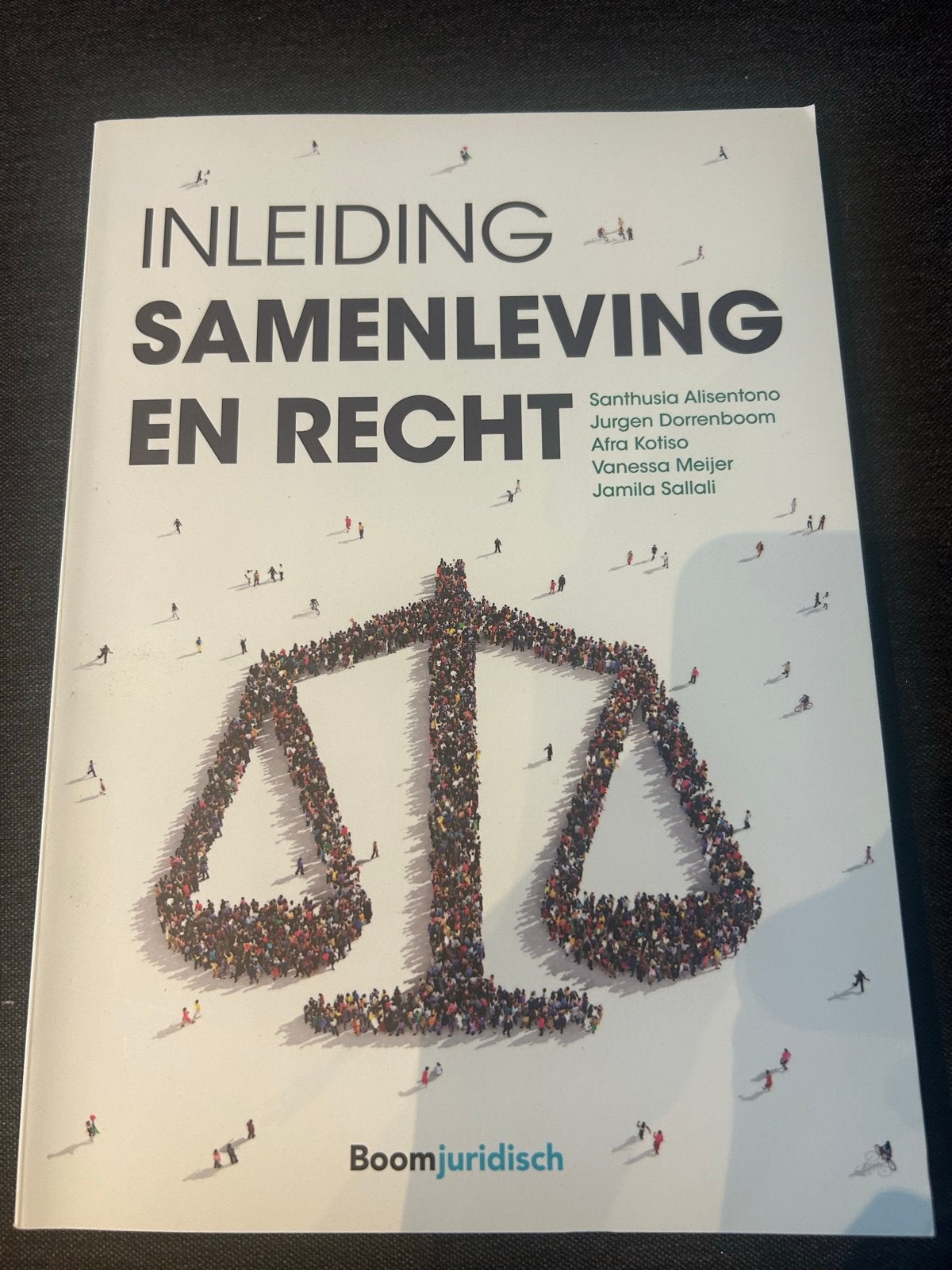 Inleiding Samenleving en Recht - Studieboek HBO Rechten, Boeken, Ophalen of Verzenden, Gamma, Zo goed als nieuw, HBO