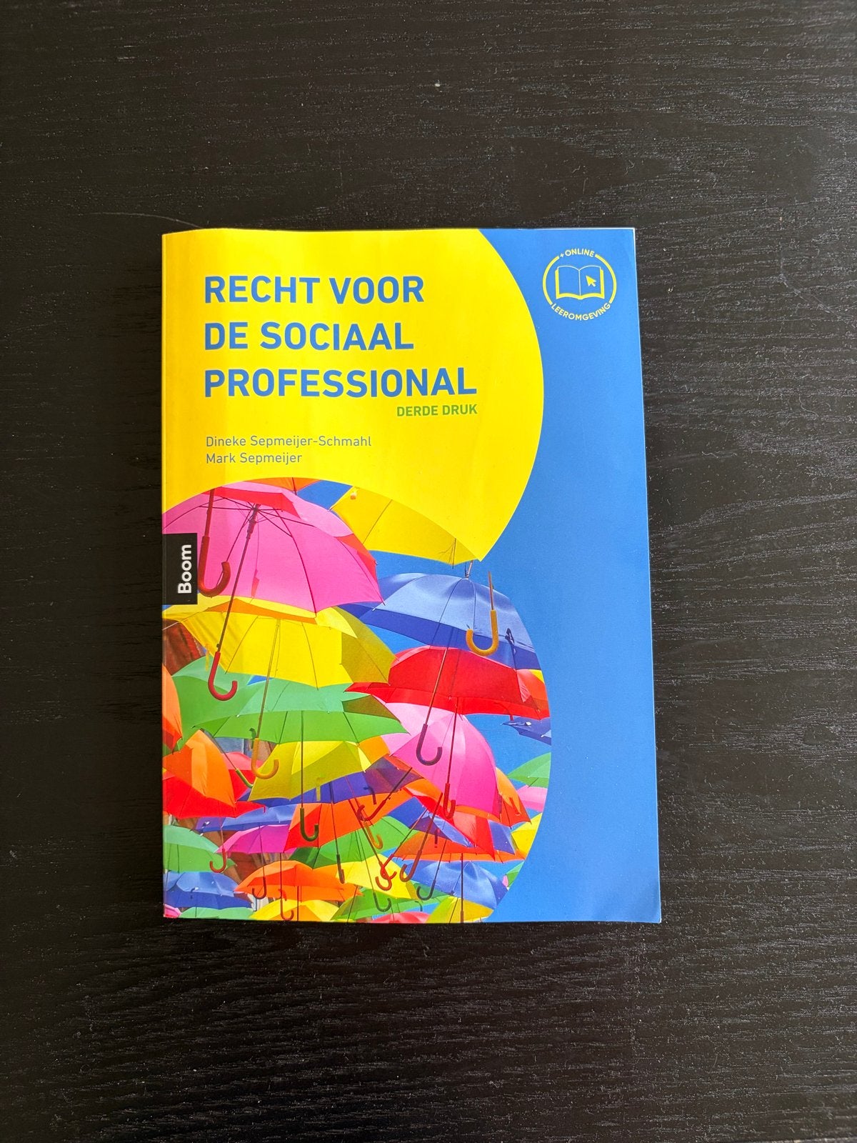 Boek Recht voor de Sociaal Professional - Derde Druk, Ophalen of Verzenden, Gamma, Zo goed als nieuw, HBO
