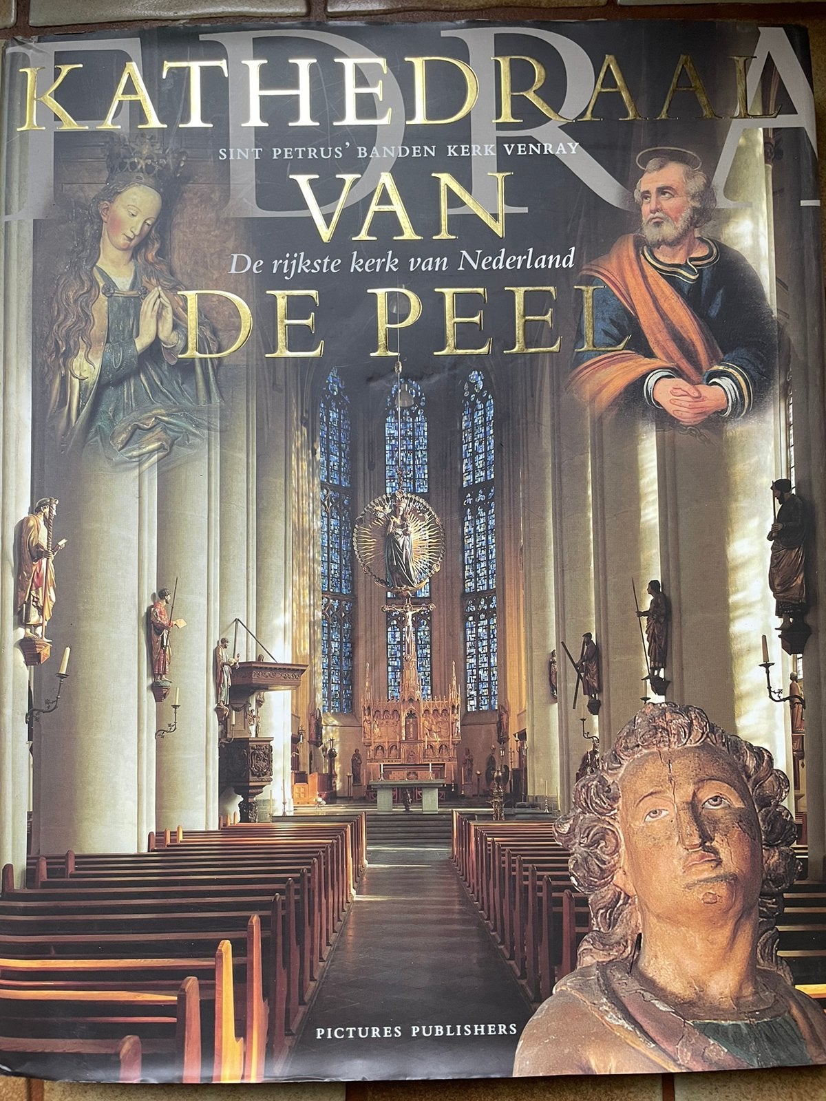 R. van den Brand - Kathedraal van de Peel, Ophalen of Verzenden, Zo goed als nieuw, R. van den Brand; T. den Brok; H. Tummers