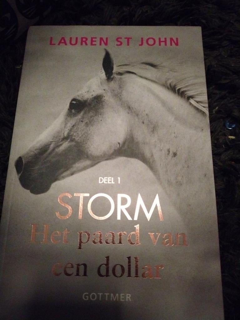 Storm: Het paard van een dollar - Deel 1, Boeken, Ophalen of Verzenden, Gelezen, Lauren St John, Nederland