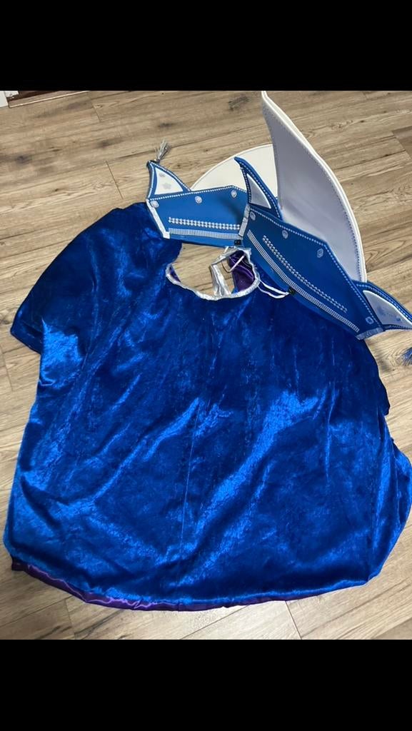 Carnavals kleding, Ophalen, Zo goed als nieuw, Maat 46/48 (XL) of groter, Carnaval