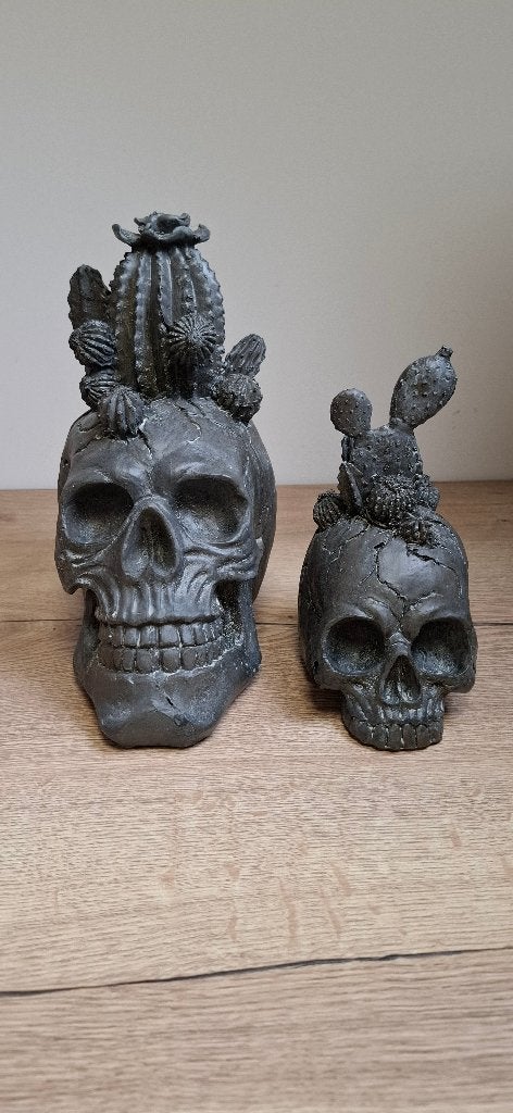 Schedel met Kaktus Beelden Set Antraciet  (Klein & Groot), Ophalen of Verzenden, Nieuw, Mens
