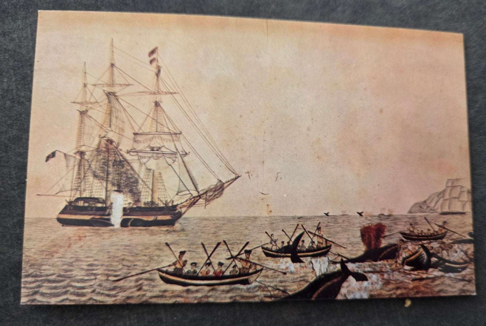 Oude Ansichtkaart Walvisvaart - Forbes Collectie, Verzenden, Voor 1920, Ongelopen, Buiten Europa