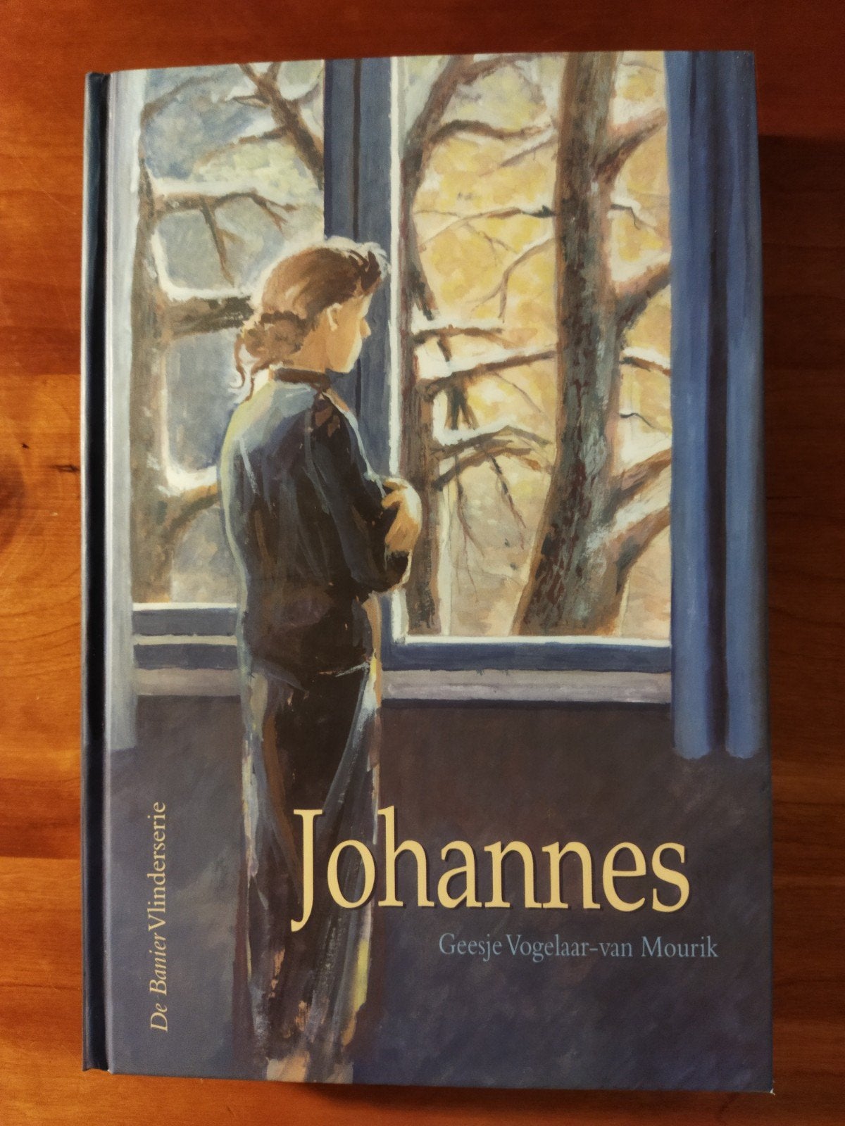 Geesje Vogelaar-van Mourik - Johannes, Boeken, Streekboeken en Streekromans, Geesje Vogelaar-van Mourik, Noord-Brabant, Ophalen of Verzenden